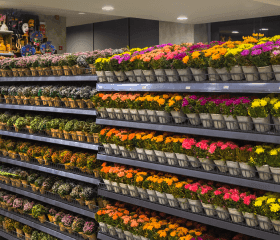 Sustainable sourcing initiative