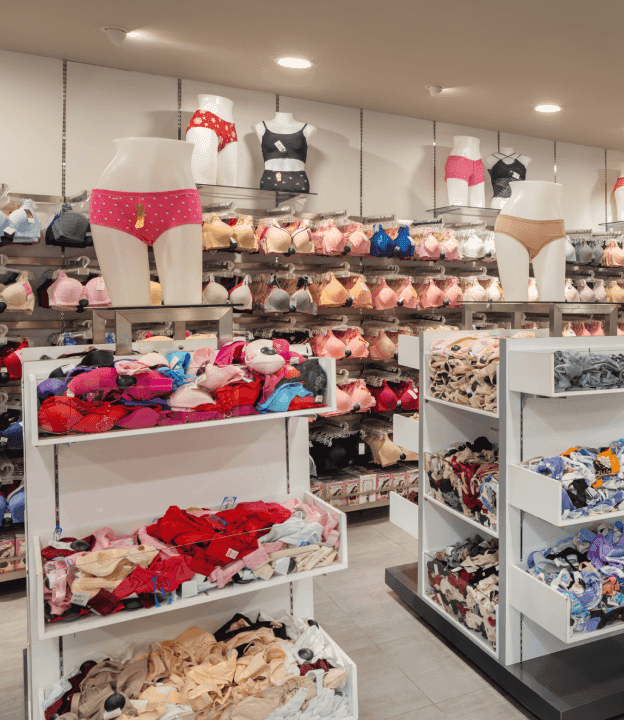 Lady J lingerie department